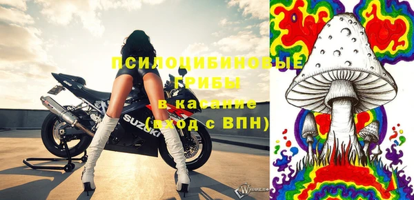 гашик Алексеевка