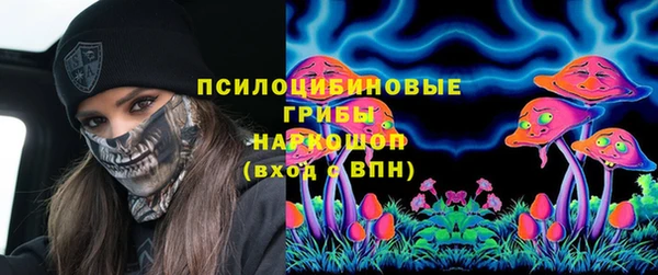 spice Алзамай