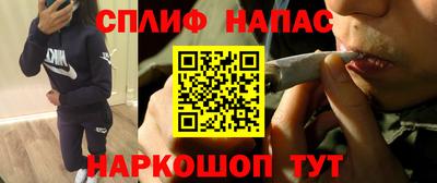 гидра Вышний Волочёк