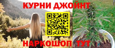 гидра Вышний Волочёк