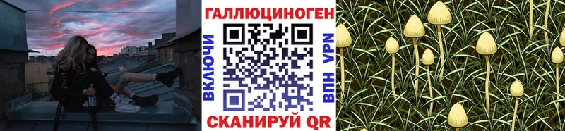 Галлюциногенные грибы Psilocybe  Пермь 